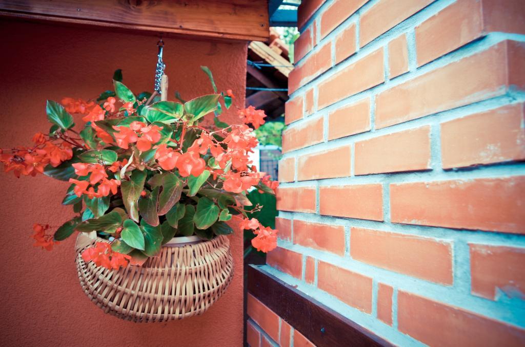 Garden House Hotel Matulji Eksteriør billede